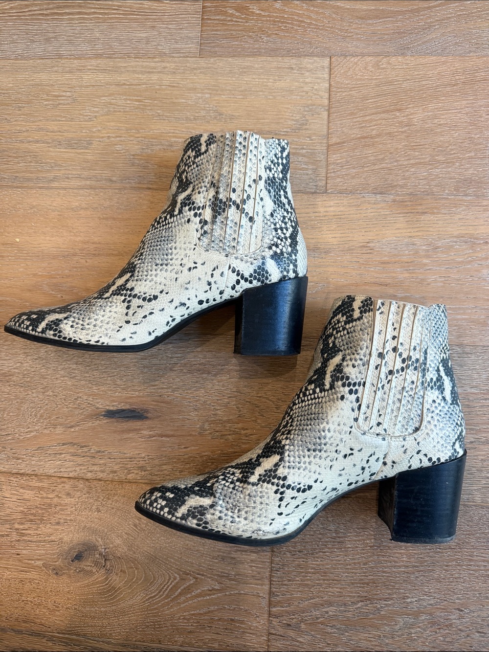 Steve Madden Cream & Black Snake-Print Ankle Boots